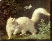 Jean-Jacques Bachelier Un chat Angora oil painting artist